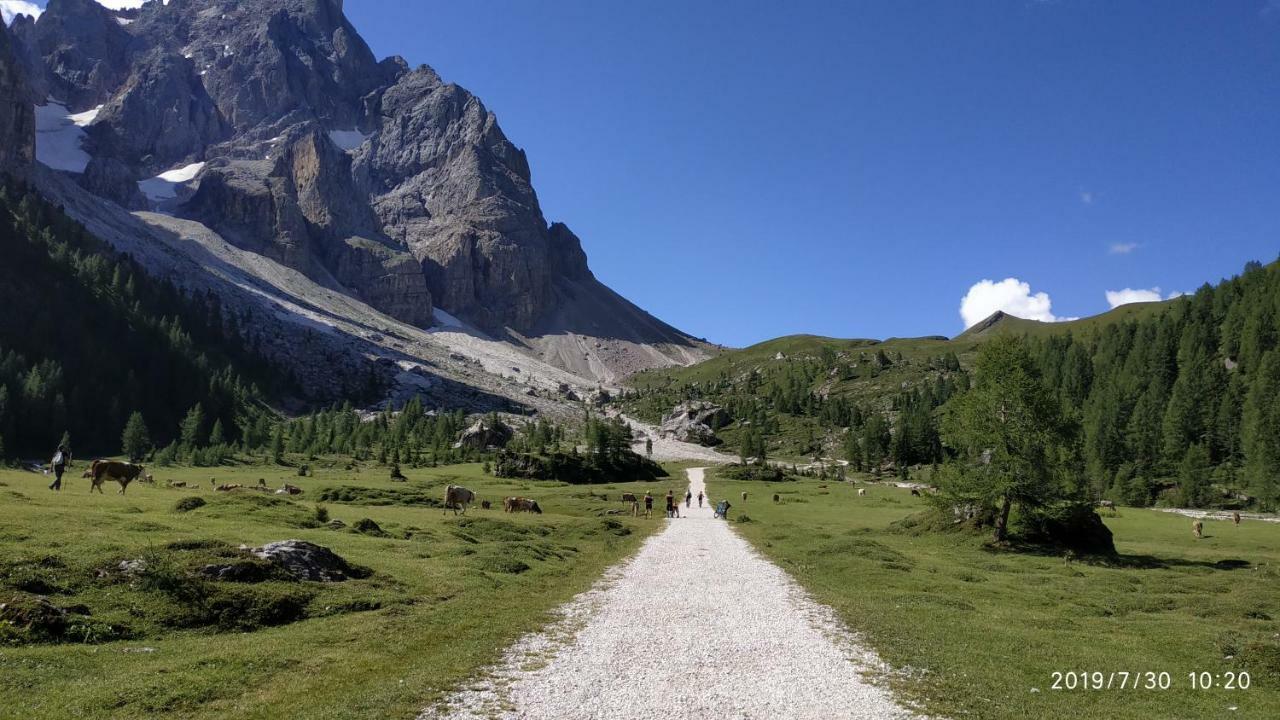 Appartement Il Covo Dello Sciatore à Falcade Extérieur photo